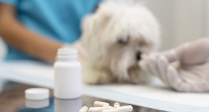 Эксперты рассказали об итогах эксперимента по маркировке ветеринарных препаратов